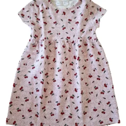Aku ZARA Robe Cerise 4/5 Ans